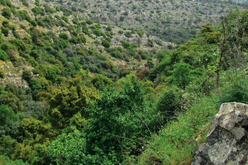 A Hiking Adventure in Volta - Ghana