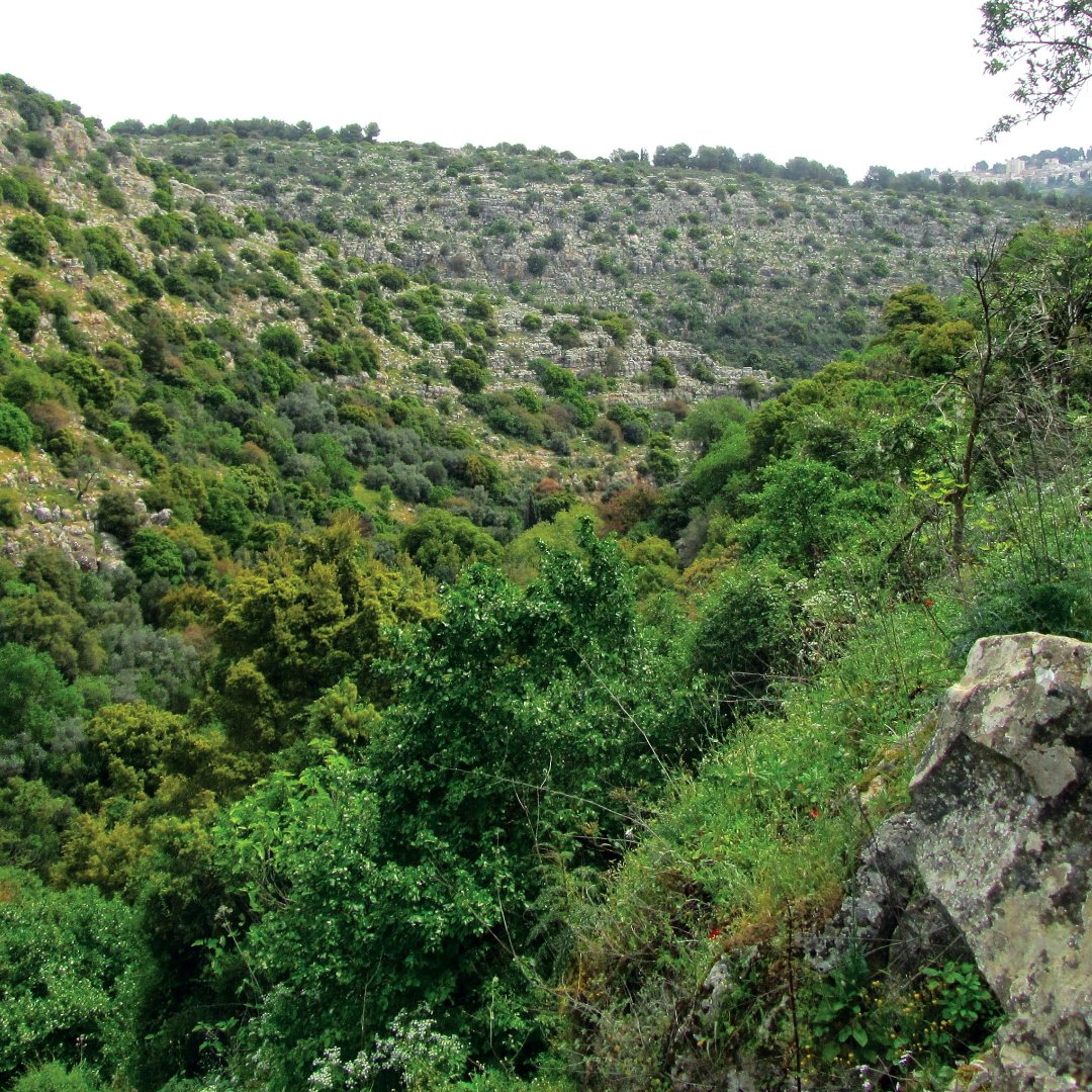 A Hiking Adventure in Volta - Ghana