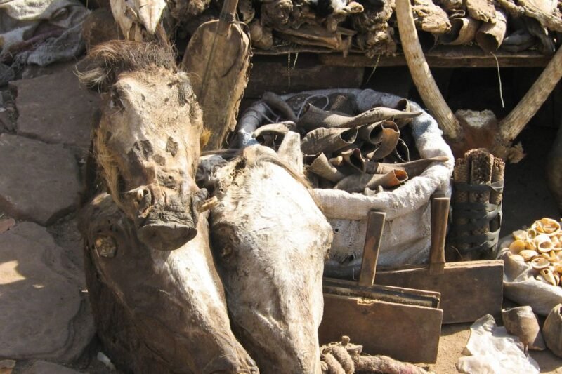 Niger Music Fest Tour