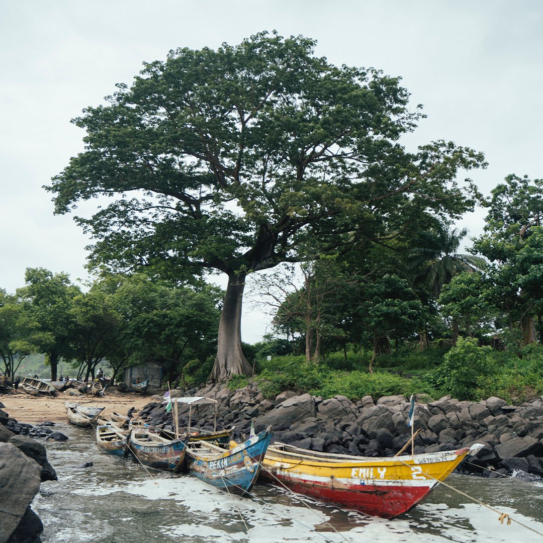 https://homelandtravels.com/wp-content/uploads/2023/12/sierra-leone-sqd.jpg